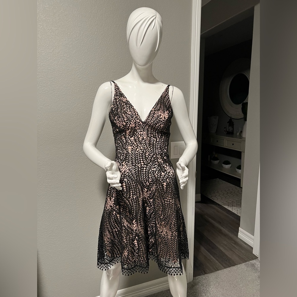 Dress the Population Women's Piper Sleeveless Lace Fit & Flare Short Dress